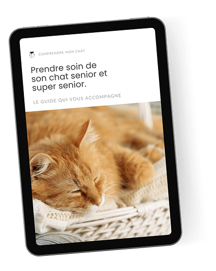 Guide pratique chat senior Guide chat senior